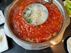 鸳鸯锅-一斗火锅·招财羊毛肚(北温泉九号店)