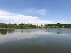 -东郊湿地公园