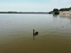 -包头南海湿地景区