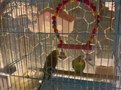 -蓝鲸湾汤泉(包河店)