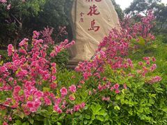 -桃花岛风景旅游区