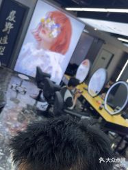 -藤野造型烫染优质