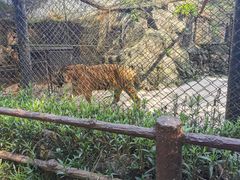 -海南热带野生动植物园