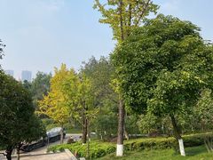 -重庆彩云湖湿地公园