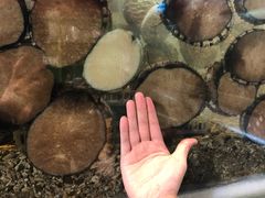 -福升海鲜洒楼