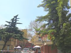 -上海交通大学医学院附属瑞金医院(总院)