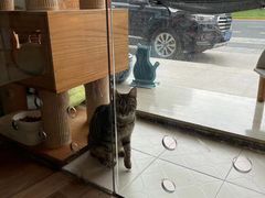 -哆趣宠物医院·眼科·内镜·急重症转诊中心(上海店)