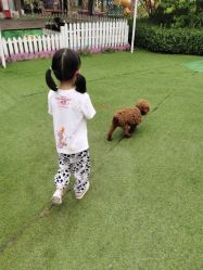 -萌宠亲子动物乐园(槐房万达店)