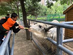 -长白岛森林公园