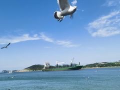 -海驴岛(荣成市)