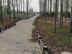 -马家湾湿地公园