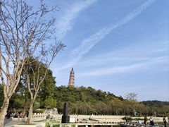 -顺峰山公园