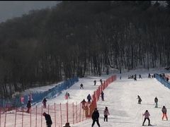 -亚布力新体委滑雪场