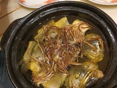 -稻香酒家·35年老字号(侨光店)