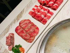 -汤城·料青山