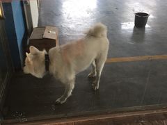 -沈阳于洪一汽丰田4S店(于洪广场店)