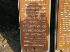 -五龙城郊森林公园