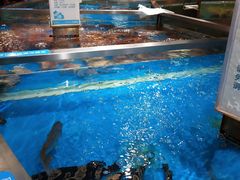-盒马鲜生(悦峰店)