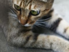 -Again Coffee Roaster(香蜜湖店)