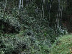 -长兴八都岕景区