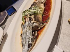 清蒸中华鲟-上和臻品中国菜(花园街店)