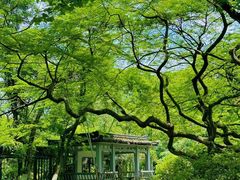 -杭州植物园