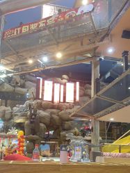 -卡通尼·Safari非洲探索乐园·生日会(金桥国际商业广场店)