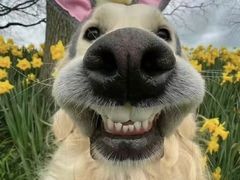 -尚渔味双拼烤鱼(悦界广场店)