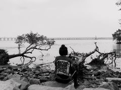 -宝安西湾红树林湿地公园