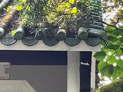 -广州市白云山风景名胜区