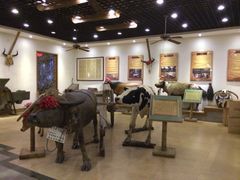 iphone_upload_pic-横沥牛庄(总店)