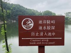 -王借岗森林公园