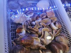 -日照大牌檔•小船海鲜(万平口店)