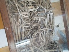 -吐斯廉屠杀博物馆