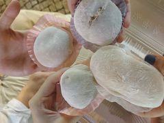 -澳门长洲糯米糍(柯打苏沙街店)