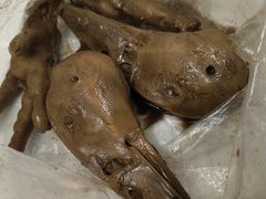 鸭老壳诱惑-疯狂鸭脑壳(俱进路店)