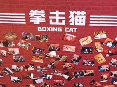 -Boxing Cat Brewery拳击猫精酿啤酒馆(永福店)