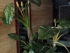 -益健·足疗汗蒸SPA(芙蓉广场店)