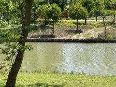 -上海滨江森林公园
