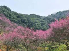 -溪口-滕头旅游景区