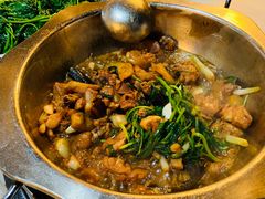 生炒土鸡-九道菜有鸡鱼头(石鼓路店)