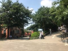 -上海佘山国家森林公园西佘山园