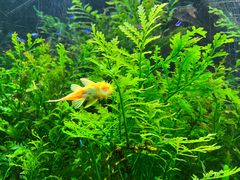 -上海海洋水族馆