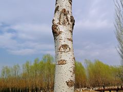 -东郊湿地公园