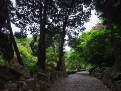-叶家花园