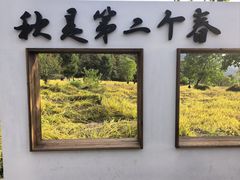 -塔川景区