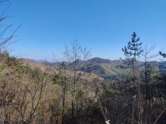 -四明山国家森林公园