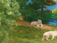 -西霞口神雕山野生动物世界