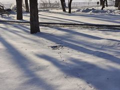 -长春市南湖公园