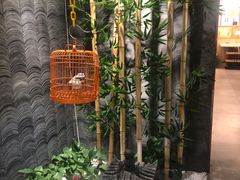 -菌子鲜汤野生菌锅